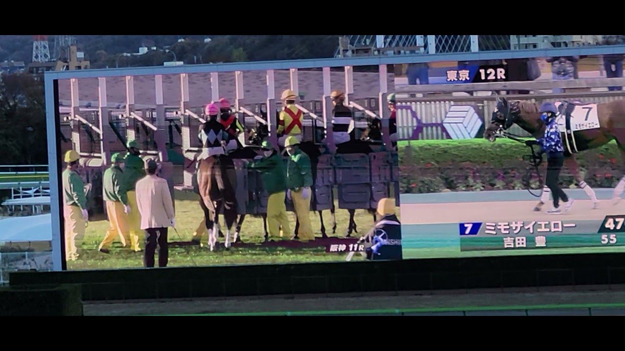 東京競馬場で見たラジオNIKKEI杯京都2歳ステークス(GⅢ) 競馬動画まとめ